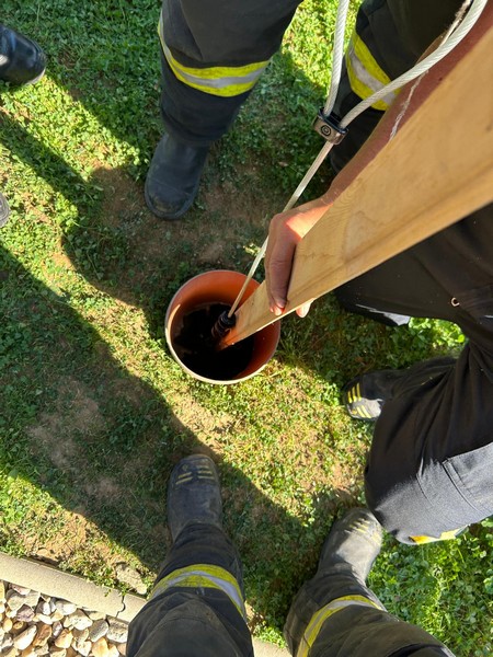 salvare pui de pisica pompieri vetiș1.jpg