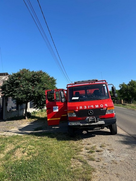 salvare pui de pisica pompieri vetiș.jpg