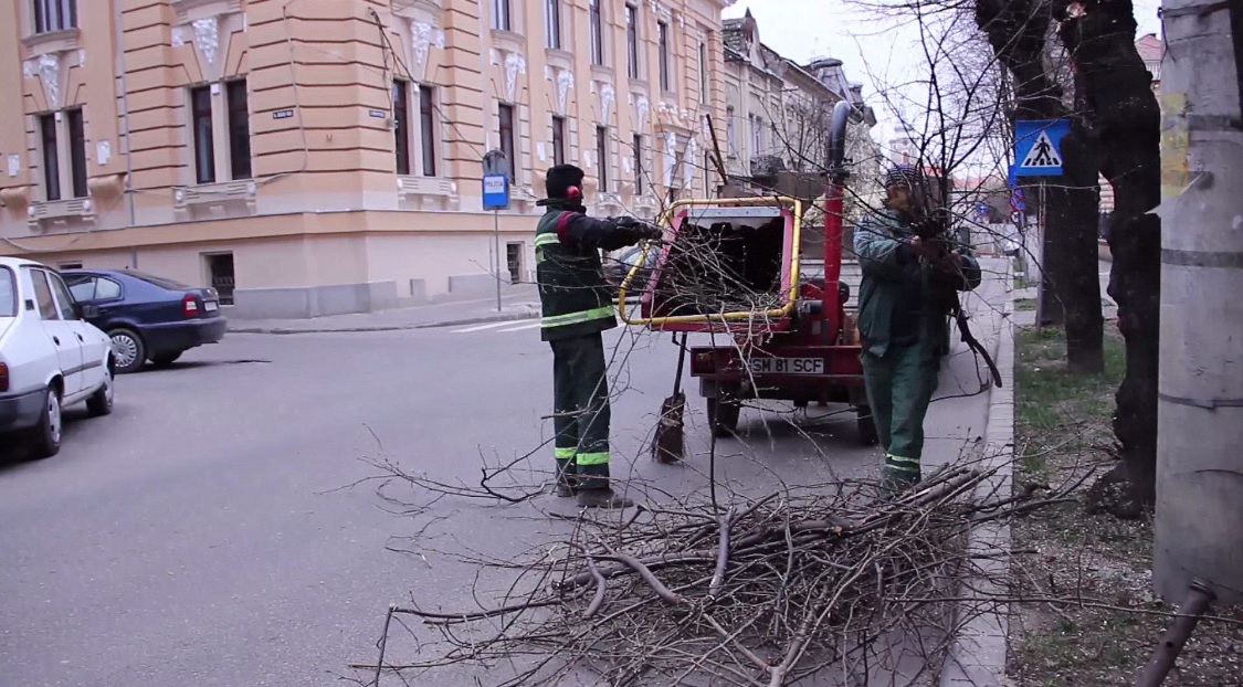 Sătmăreni, nu dați foc vegetației uscate! Vine Primăria să ridice deșeurile
