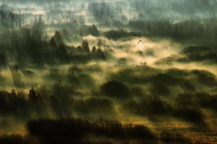 Fotografii EXTRAORDINARE pentru promovarea Țării Oașului