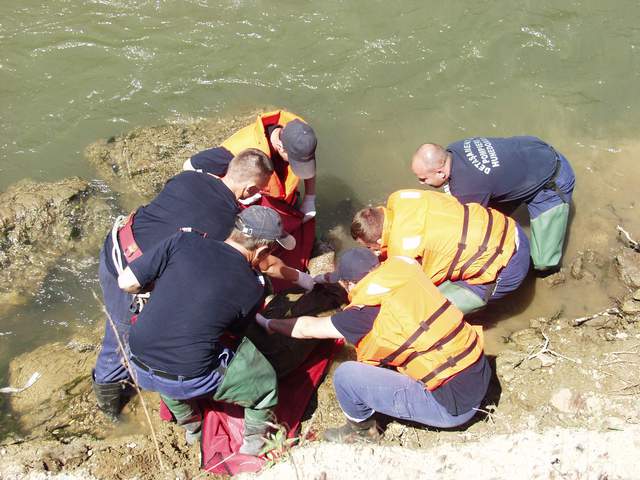 Bărbat găsit mort în râul Someș. Poliția a început o anchetă