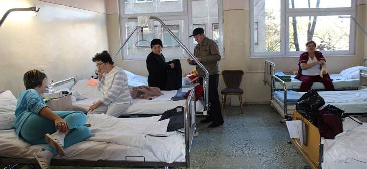 Virusul West Nile, DESCOPERIT în județul Satu Mare. Autoritățile județene EZITĂ, autoritățile centrale CONFIRMĂ