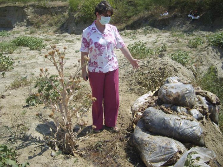 Bombă ecologică în județ. Cadavre de animale ”depozitate” într-o groapă comună