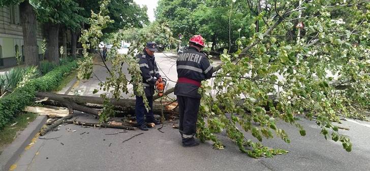 Vântul puternic i-a pus pe pompierii sătmăreni pe drumuri: acoperiș smuls de vânt, un copac a căzut și s-au desprins fire electrice