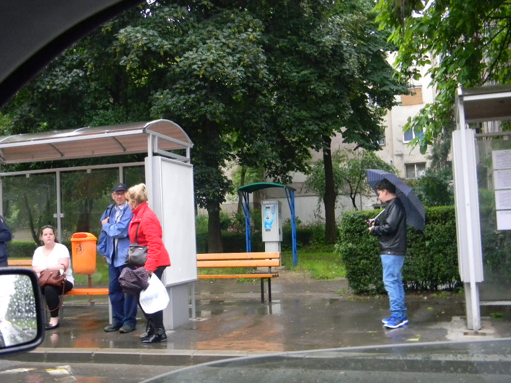 Transurban Satu Mare, acuzat de discriminare de la cel mai înalt nivel