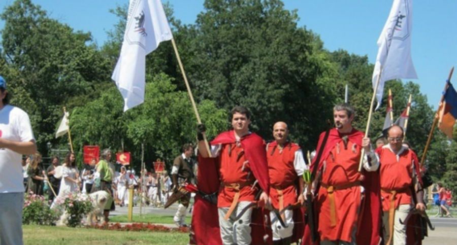 Consiliul Local Carei a votat BUGETUL pentru Festivalul AugustFest