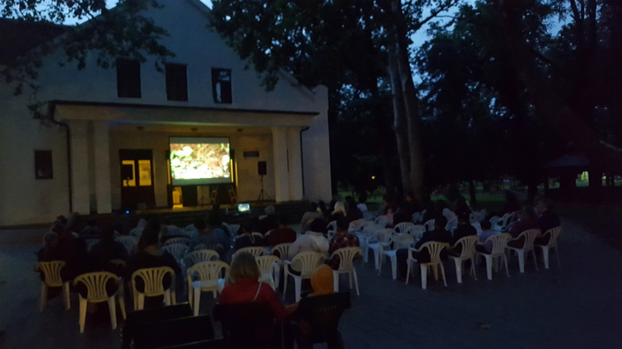 Regal cinematografic la „Mini-film-Fest” Carei. PREZENTATE filme ale unor CAREIENI