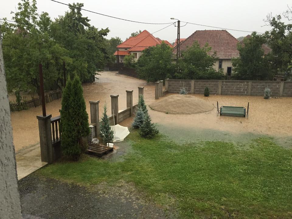 COD GALBEN de INUNDAȚII la Satu Mare. Depășiri ale COTELOR DE ATENȚIE pe mai multe cursuri de apă