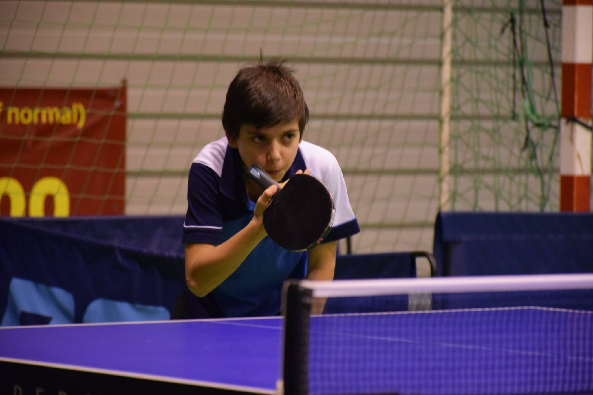 Sportivii careieni, în topul european al tenisului de masă