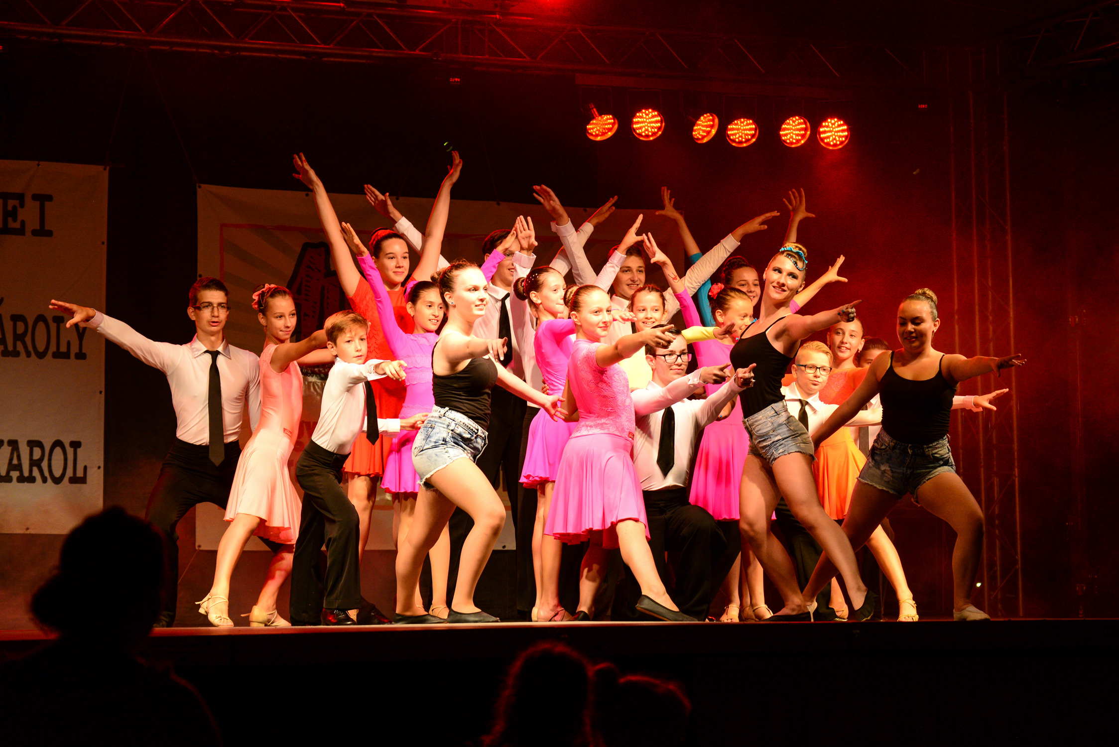 Centrul Cultural Carei își caută viitoarele vedete. Sunt oferite cursuri gratuite