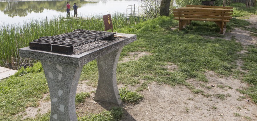 Dezbatere publică pentru reamenajarea zonei de agrement Șomoș din Carei