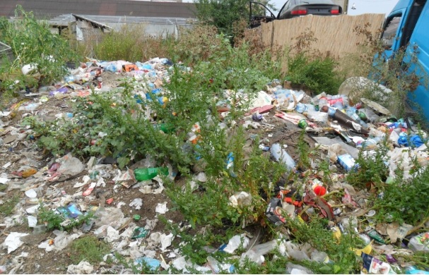 Fața MIZERABILĂ a Sătmarului! Mormane de GUNOI și NEPĂSARE (FOTOGALERIE)