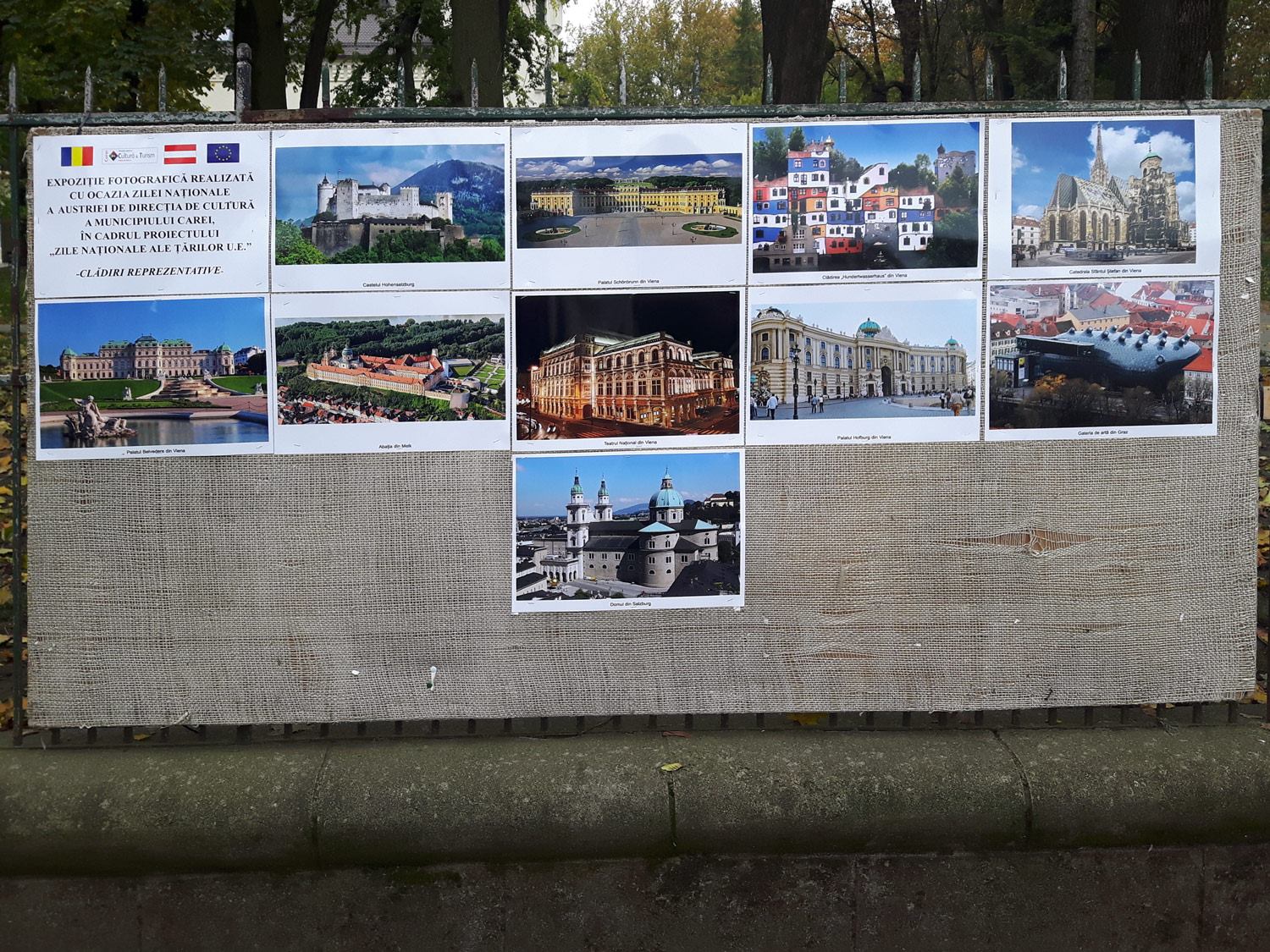 Ziua națională a Austriei a fost marcată la Carei