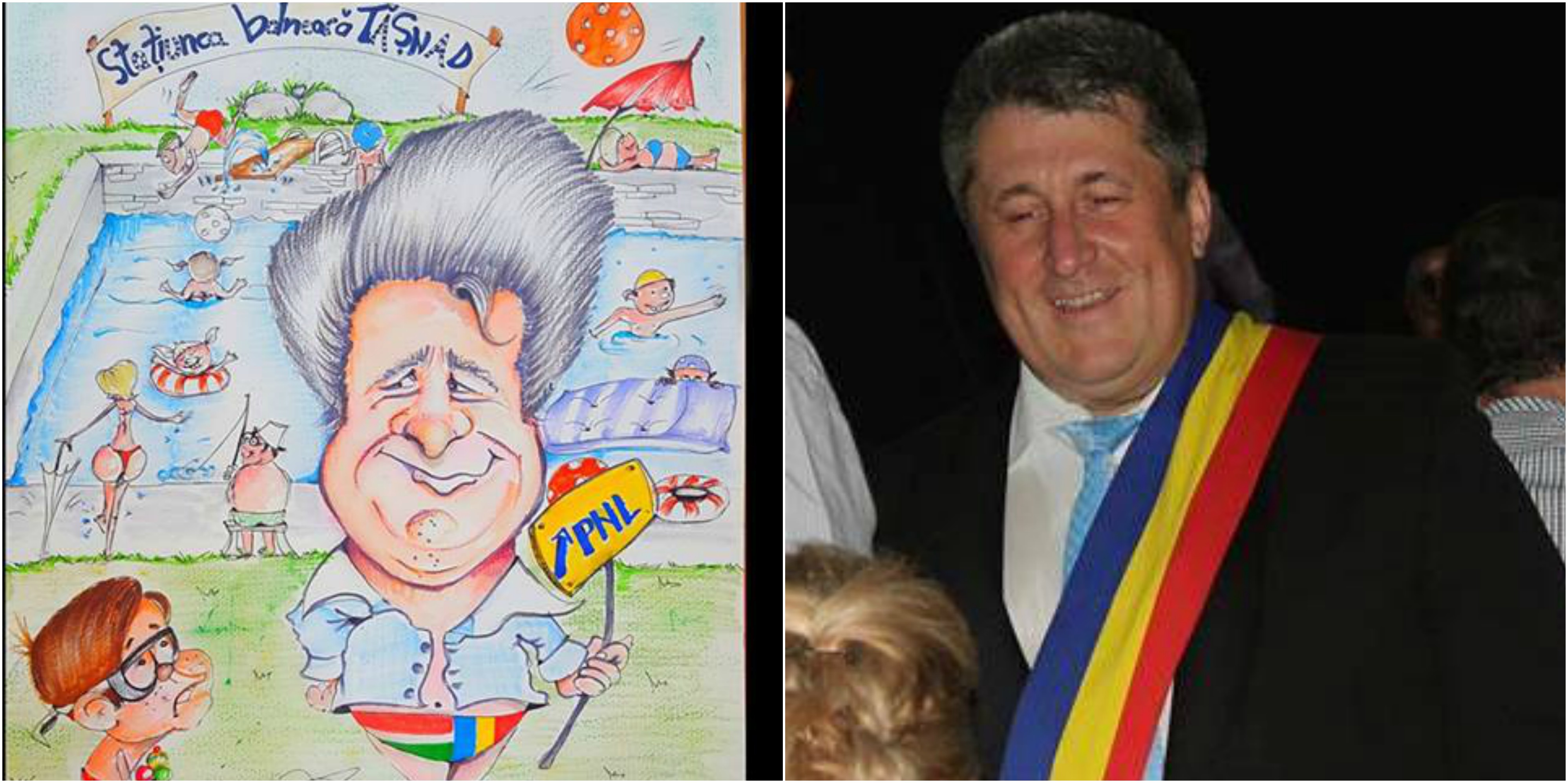 Cum LUPTĂ diaspora împotriva clasei POLITICE din Satu Mare. Caricaturile, una dintre ARME