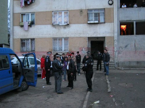 Polițiștii s-au săturat de scandalagii de pe Ostrovului. Ce propunere au făcut