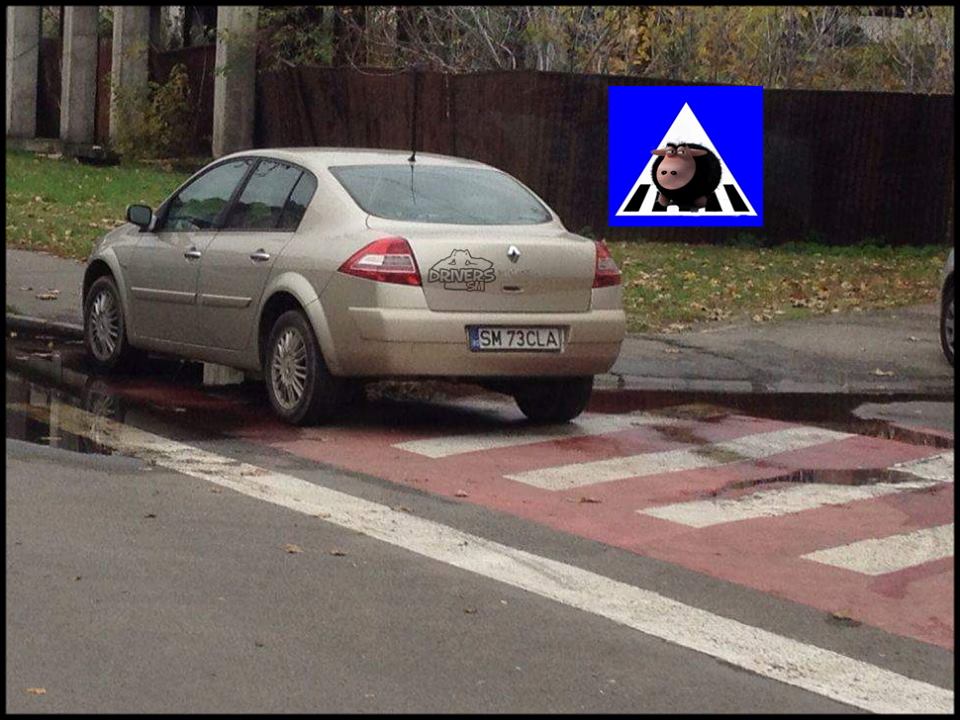 E OFICIAL! Unele prevederi ale Codului Rutier NU se aplică în Satu Mare (FOTOGALERIE)