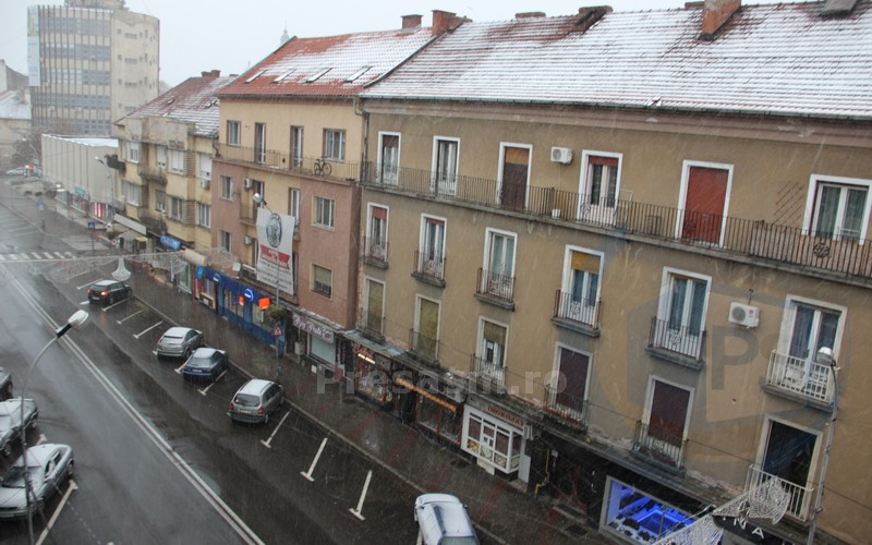 Cod GALBEN în județ. Prima NINSOARE din această iarnă la Satu Mare (FOTO&VIDEO)