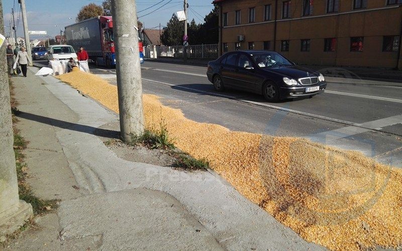 TONE de cereale pe Drumul Botizului! Poliția Locală a fluidizat traficul (FOTOGALERIE)