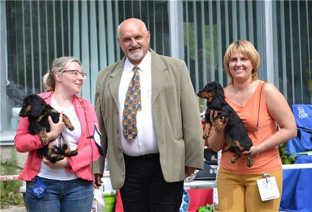 NEBUNIE! UDMR Satu Mare are un parlamentar în... Constanța!