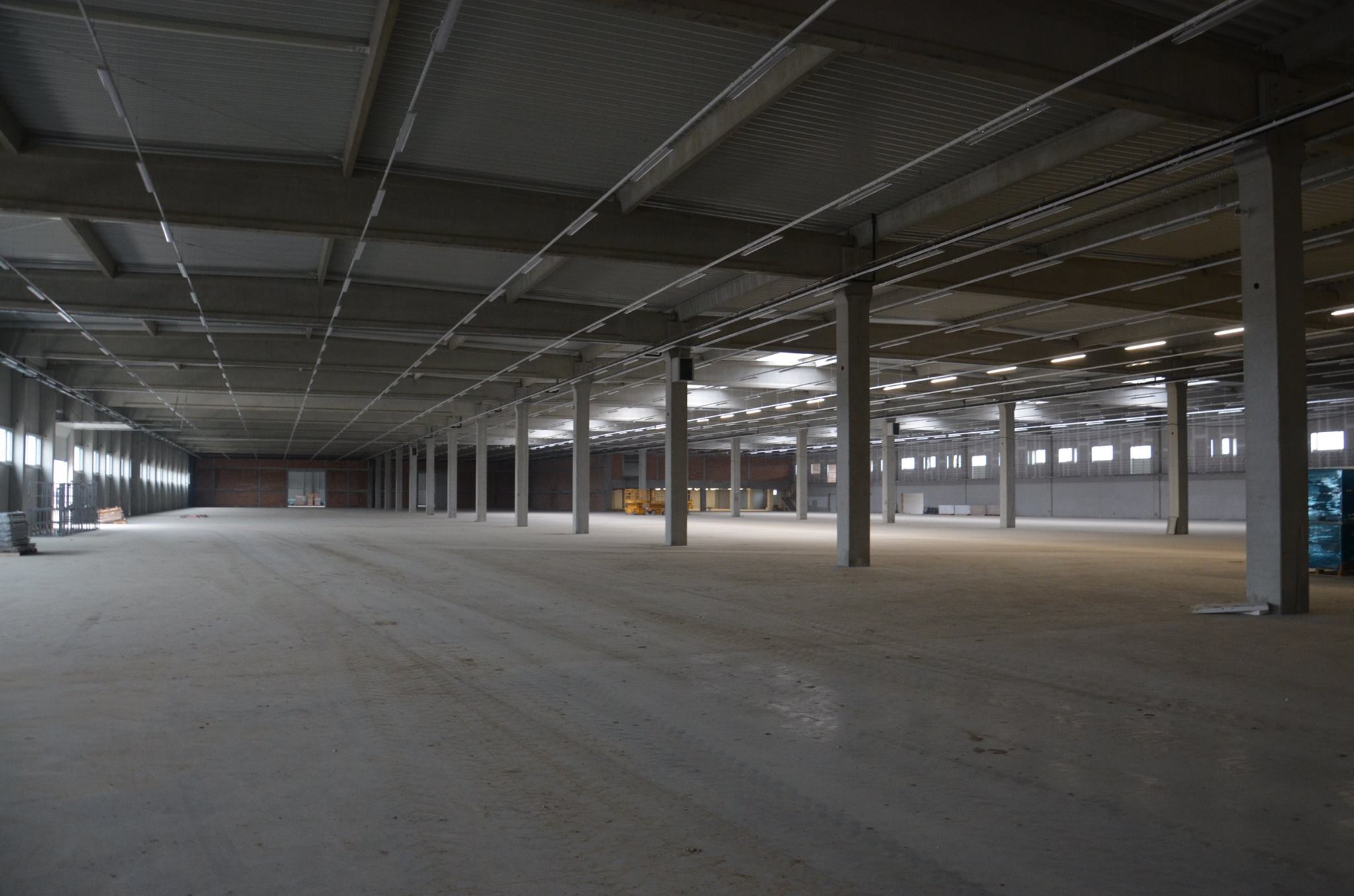 FOTOGALERIE. Se deschide o fabrică de 13 milioane de euro la Satu Mare