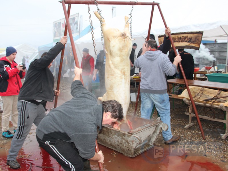 Statul distruge micii fermieri din județ! Carnea de porc, tot mai scumpă