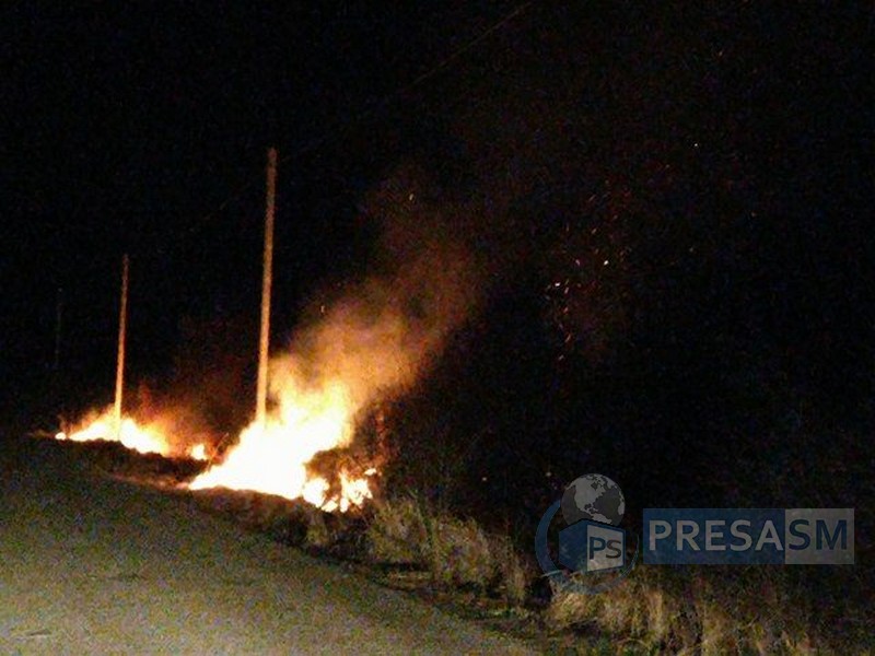 FOTO&VIDEO. Incendiu de vegetație, scăpat de sub control