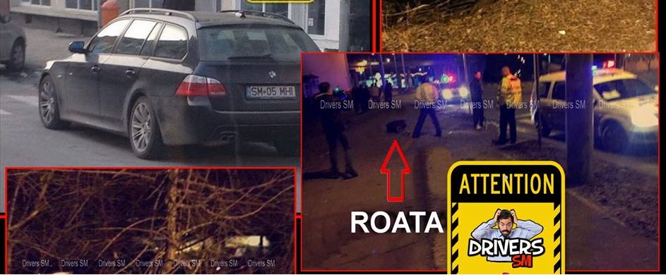 BMW făcut praf în municipiul Satu Mare. A ajuns în lacul Pescăruș (FOTO)