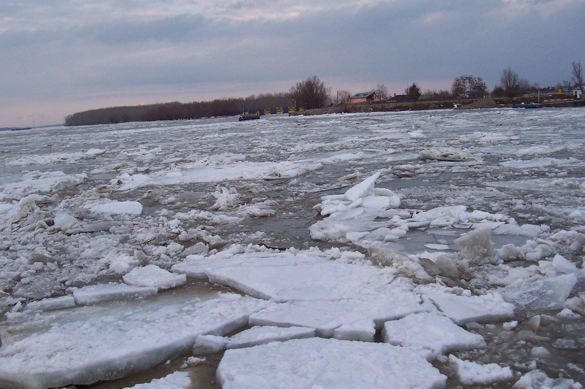 VIDEO. Pericol de inundație în județ! Sloiuri de gheață pe Someș