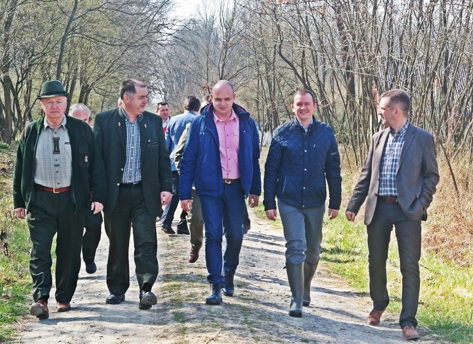 Circa 300.000 de puieți, plantați în județ. Să aibă ce să fure hoții de lemne