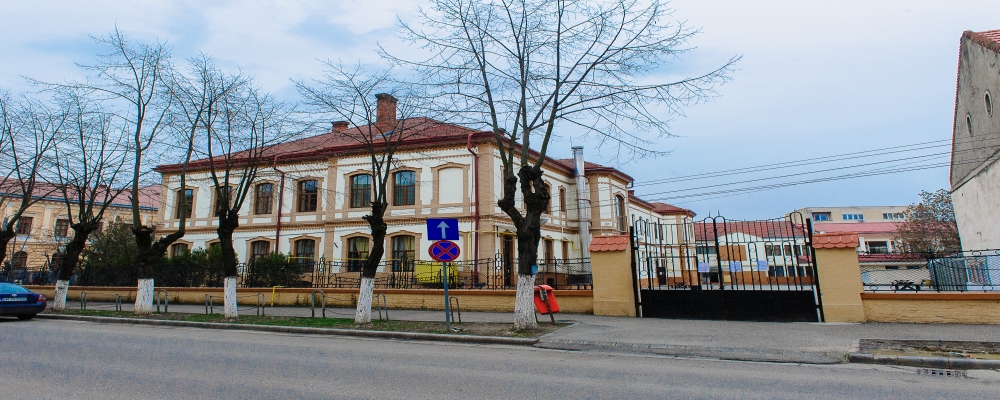 Reacție a unor părinți după acuzațiile de la Școala Grigore Moisil din Satu Mare