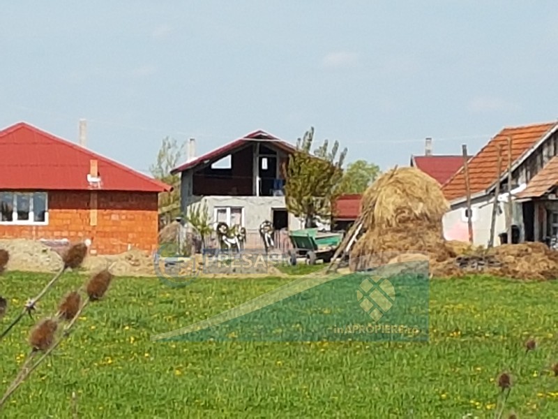 VIDEOREPORTAJ. Povestea completă a morții copilului de cinci ani, spânzurat accidental