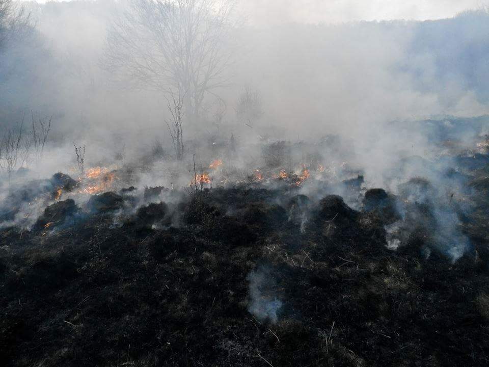 FOTO&VIDEO. Imagini apocaliptice în județ. Pompierii au viață de coșmar