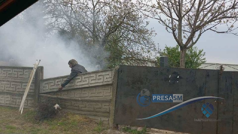 FOTO&VIDEO. Incendiu provocat de oamenii străzii într-un cimitir din Satu Mare