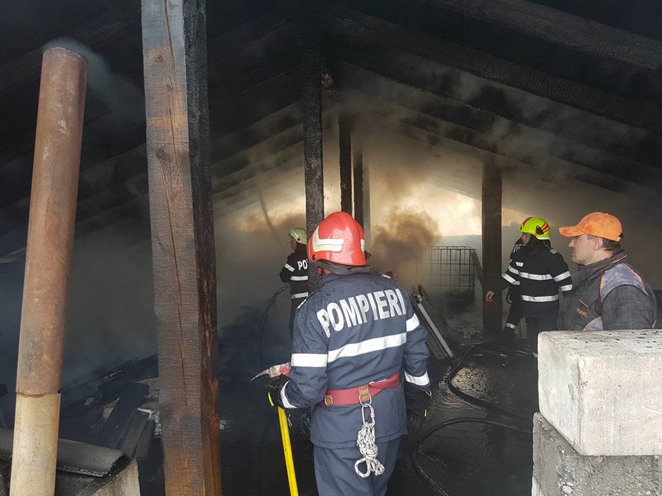 FOTOGALERIE. Incendiu la un service auto. Trei echipaje de pompieri intervin