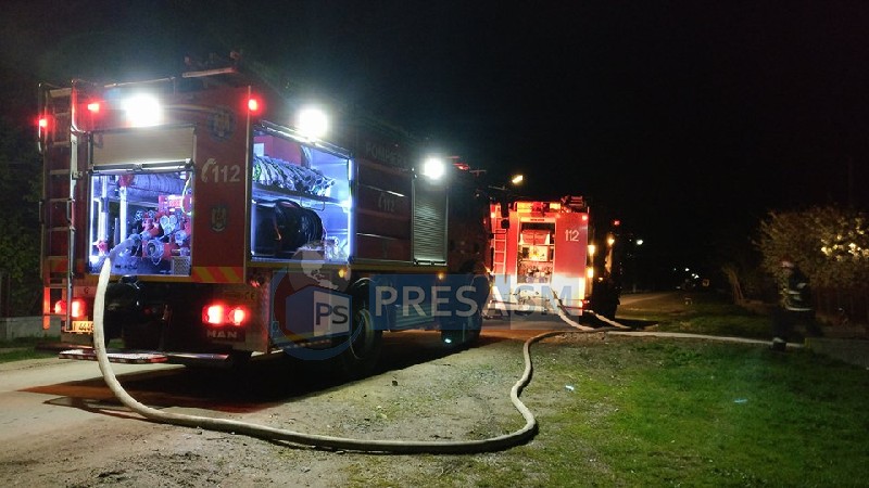 Zeci de viței și porci au ars de vii într-un incendiu de amploare în județ