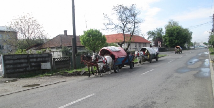 FOTO. Caravană de căruțe prinsă în municipiul Satu Mare. Imagini de ev mediu