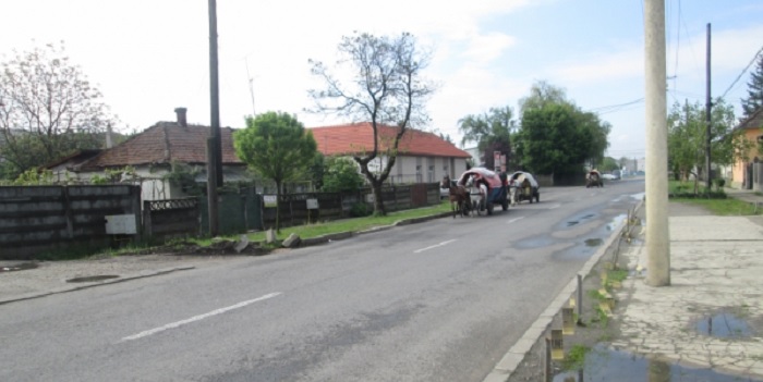 Căruțașii din Sălaj "au luat cu asalt" străzile din municipiu. Poliția Locală a reacționat