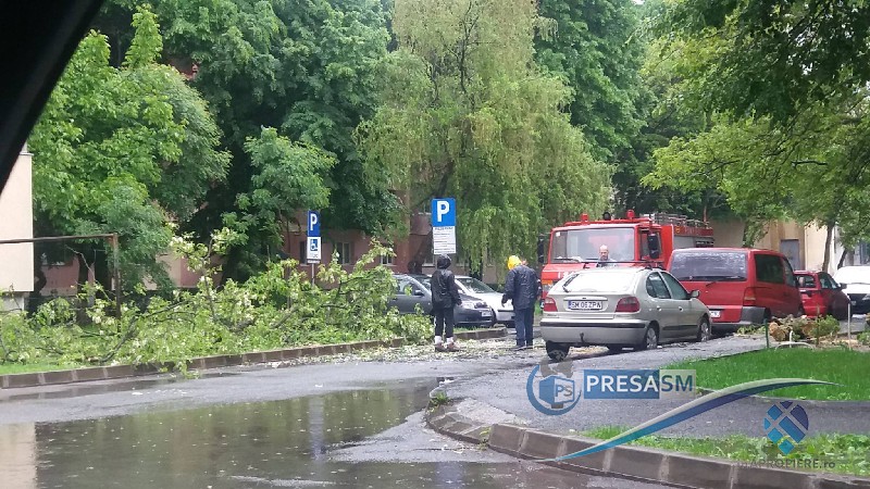FOTOGALERIE. Copaci rupți în mai multe locuri din municipiul Satu Mare. Mașină avariată