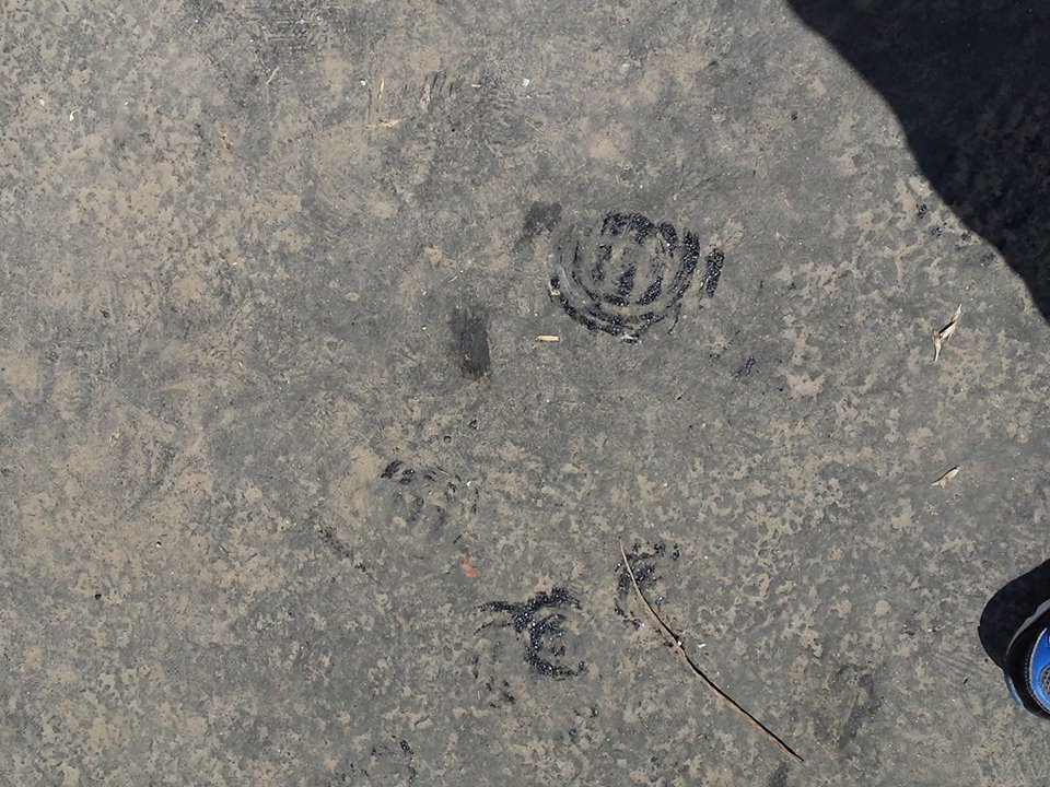 FOTO. Incredibil! Se topește asfaltul pe trotuar în Satu Mare, la nici 28 de grade