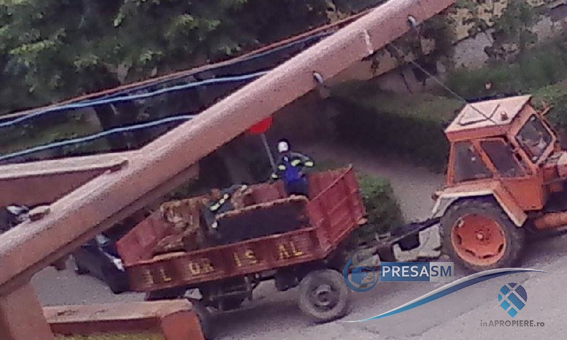 VIDEO. De tot râsul! Angajați Florisal, surprinși transportând...mobilă!