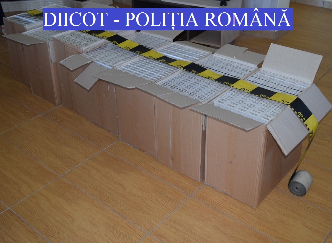FOTO. Percheziții ale procurorilor DIICOT la Satu Mare. Droguri confiscate