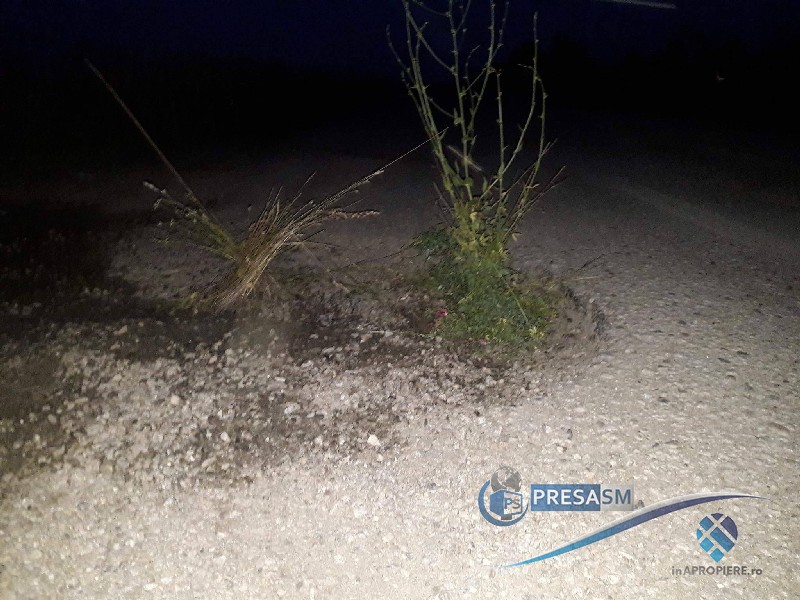 FOTOGALERIE. Șoferii ”plantează” buruieni în craterele din drumurile din județ