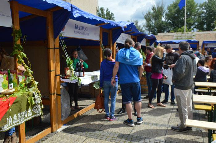 Părerea specialiștilor: Cel mai bun vin din județ se face la Halmeu și Beltiug