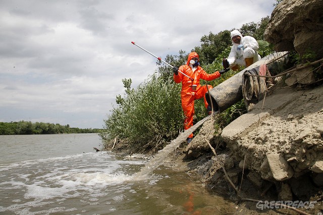 FOTO. Greenpeace, acuzații halucinante la adresa Unicarm: Carne putredă în Someș