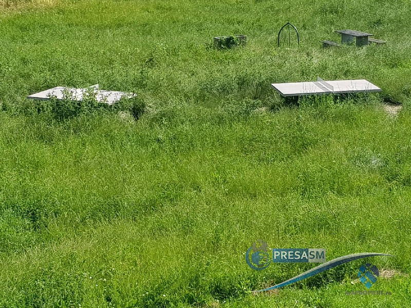 FOTOGALERIE. Iarba a invadat totul pe digul Someșului. Inclusiv zona de picnic