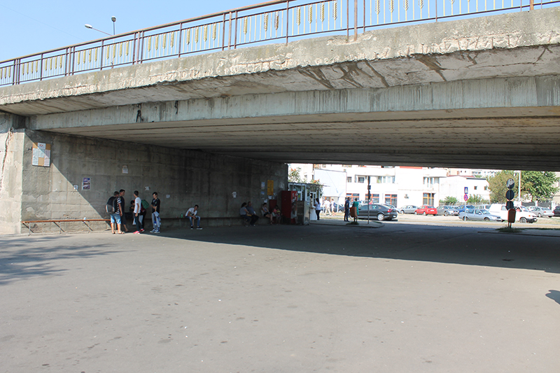 Transportatorii din județ au oprit cursele. Cât durează protestul