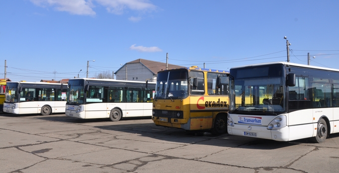 Primăria Satu Mare cumpără 15 autobuze noi pentru Transurban. De unde scot banii