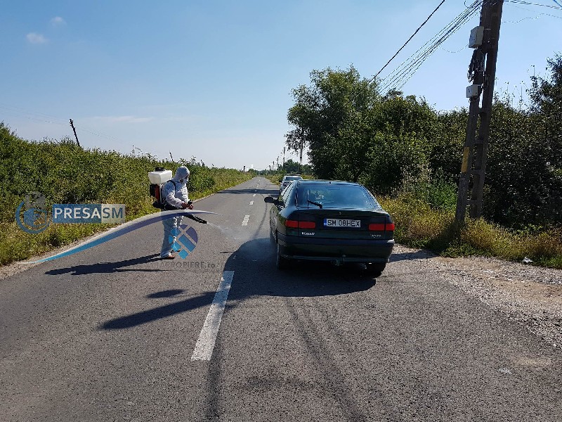 Județul nu a scăpat de pesta porcină. Care sunt cele mai afectate localități