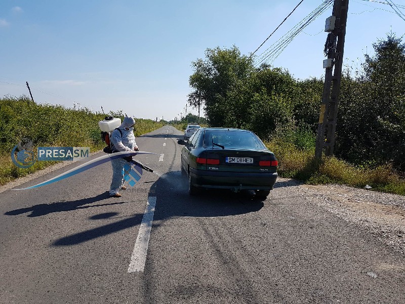 Focare de pestă porcină în zece localități din județul Satu Mare. Amenzi de mii de lei pentru crescătorii care nu respectă regulile