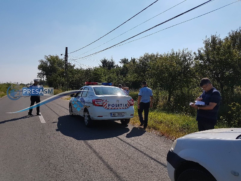 ȘAH-MAT. Măsurile anti-pestă porcină, fentate online. Porcii, vânduți pe internet